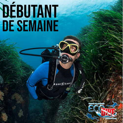 Open Water Diver (Semaine)